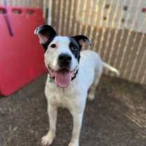 Thumbnail photo of Zezzie #2