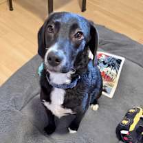 Thumbnail photo of Winifred in CT #1