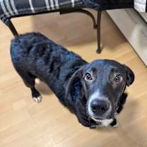 Thumbnail photo of Winifred in CT #4