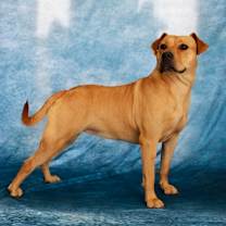 Thumbnail photo of Nyla #2