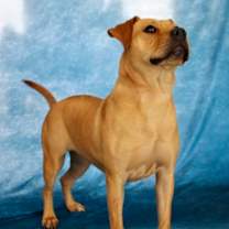 Thumbnail photo of Nyla #3