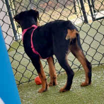 Thumbnail photo of Rainy #3