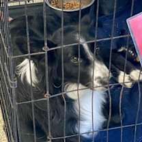 Thumbnail photo of Hilda (Hildie) #4