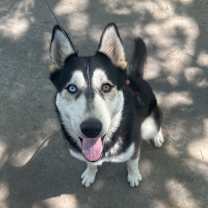 Thumbnail photo of Mylo #1