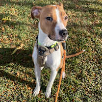 Thumbnail photo of Cora Belle #3