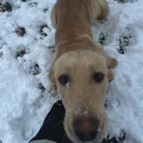 Thumbnail photo of Lover Boy (real name) #3