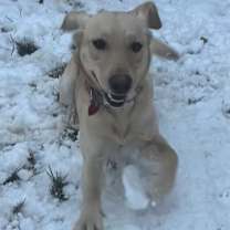 Thumbnail photo of Lover Boy (real name) #4