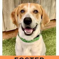 Thumbnail photo of Benny #1