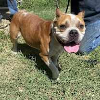 Thumbnail photo of Rocky Mountain #2