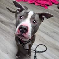 Thumbnail photo of Makani #3