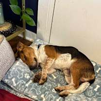 Thumbnail photo of Bennet #4