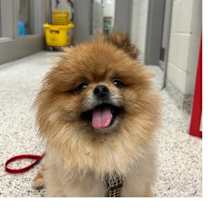 Thumbnail photo of Peter #1