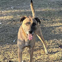 Thumbnail photo of Chase KA #2