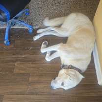 Thumbnail photo of Kilo #3