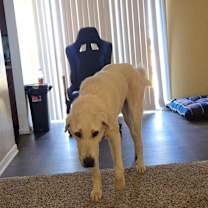 Thumbnail photo of Kilo #4