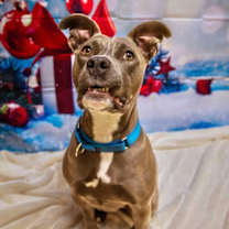 Thumbnail photo of Lumi #1