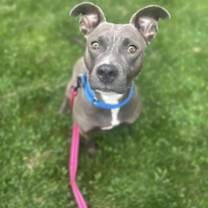 Thumbnail photo of Lumi #3