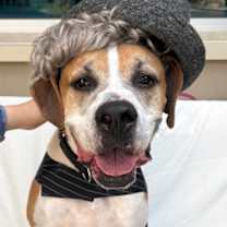 Thumbnail photo of Klaus #3