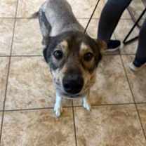 Thumbnail photo of Luna #3