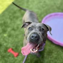 Thumbnail photo of Emma #4