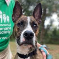 Thumbnail photo of Itachi #1