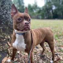 Thumbnail photo of Zenith #1