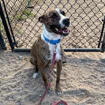 Thumbnail photo of Itachi #3