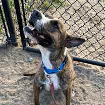 Thumbnail photo of Itachi #4