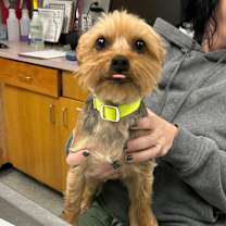 Thumbnail photo of Lotus #1