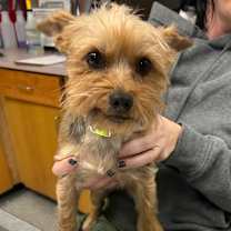 Thumbnail photo of Lotus #3