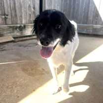 Thumbnail photo of Winnie #4