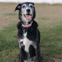 Thumbnail photo of Lucy #4