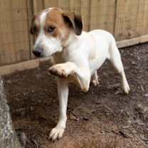 Thumbnail photo of Waylon KA #3