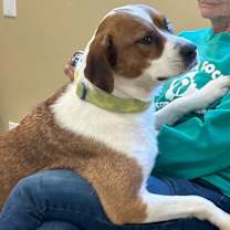 Thumbnail photo of GRETA #3