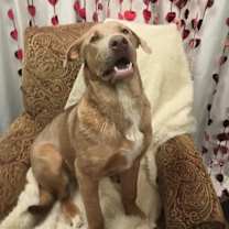 Thumbnail photo of RED #2