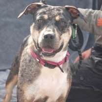 Thumbnail photo of Jayna #1