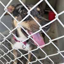 Thumbnail photo of Jayna #2