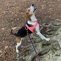 Thumbnail photo of Geneva #2