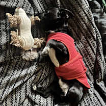 Thumbnail photo of Coffee Buzz #2