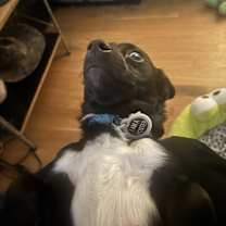 Thumbnail photo of Coffee Buzz #3