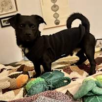 Thumbnail photo of Coffee Buzz #4