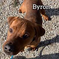 Thumbnail photo of Byron #1