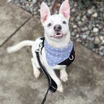 Thumbnail photo of Jellybean #1