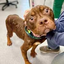 Thumbnail photo of Butterfingers #3