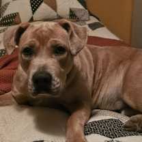 Thumbnail photo of Faith #2