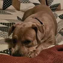 Thumbnail photo of Faith #3