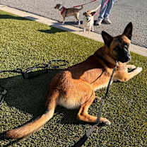 Thumbnail photo of Santi #1