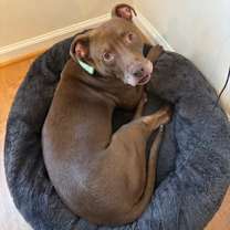 Thumbnail photo of Shabazz #2