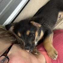 Thumbnail photo of Tommy #1