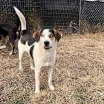 Thumbnail photo of Tony #2